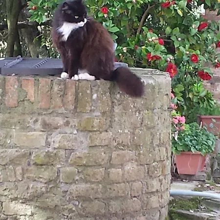 Lantgård Il Poggiarello