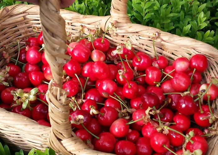 Il Poggiarello Farmház Siena