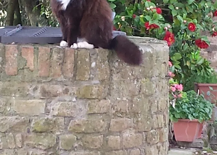 Lantgård Il Poggiarello